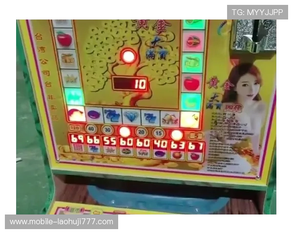 老虎机是啥玩意儿如何识别正规合法的老虎机平台保障你的游戏权益