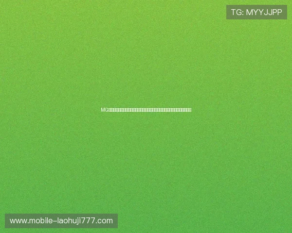 MG游戏网站入口最新官方登录地址，提供安全稳定的游戏体验和丰富的游戏资源
